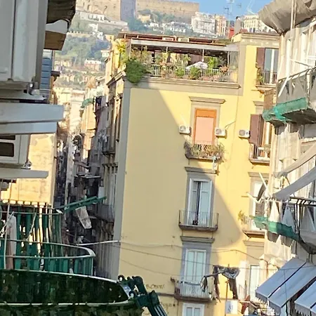 Civico 22 Silvestre 3*