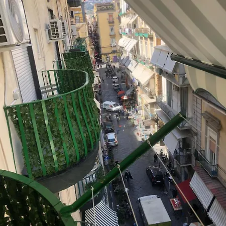 Civico 22 Silvestre 3*